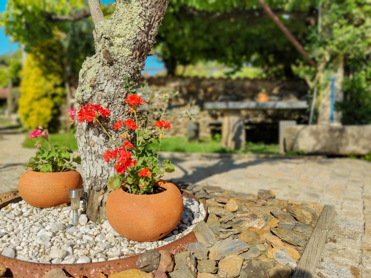 Casa Do Casal - Country House With Swimming Pool ビアナドカステロ エクステリア 写真